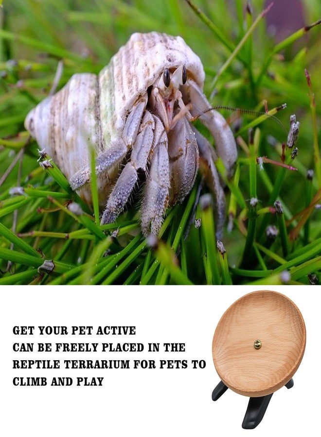 Oooct Hermit Crabs Wheel Toy, Hamster Running Wheel Toys, Small Animals Cage Accessory, Tank Accessory, Suitable for Hermit Crab Hamster Rat - Image 3